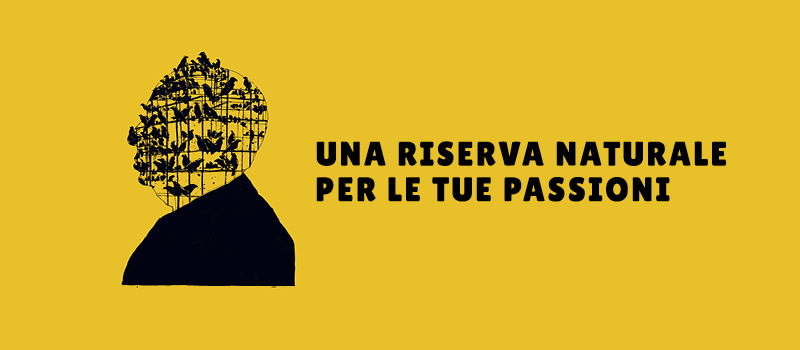 nuovo_ftv.jpg